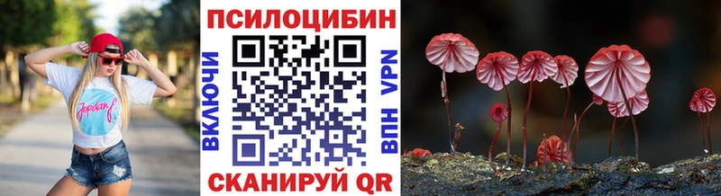 Псилоцибиновые грибы Cubensis  Новоалександровск 