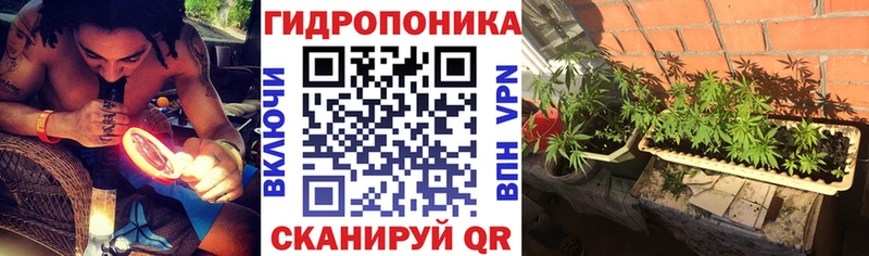 Канабис AK-47 Новоалександровск